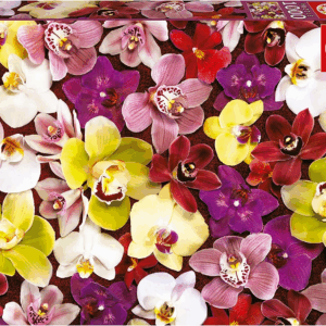 Puzzle 1000 Collage de Orquideas Educa 19558