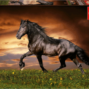 Puzzle 1000 Caballo al Trote Educa 19555