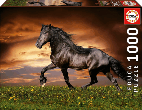 Puzzle 1000 Caballo al Trote Educa 19555
