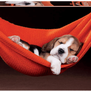 Puzzle 500 durmiendo en la hamaca educa 18477