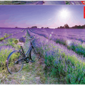 Puzzle 1000 Bicicleta en Campo de Lavanda Educa 19255