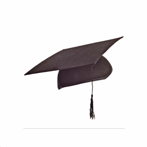 Sombrero de graduado infantil fieltro import