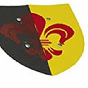 Escudo madera