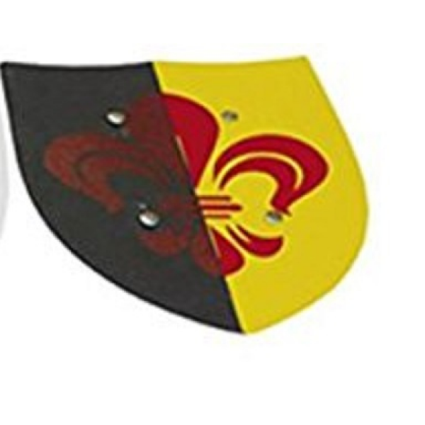 Escudo madera