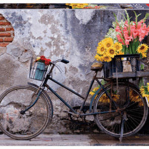 Puzzle 500 bicicleta con flores educa
