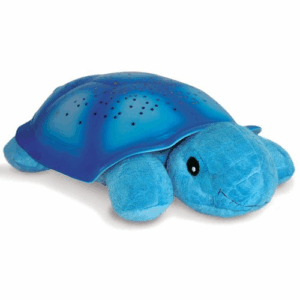 Cloud Tortuga planetario azul