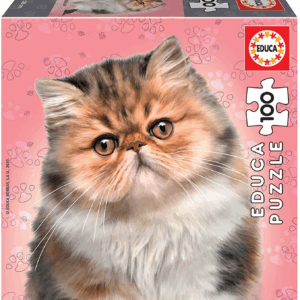Puzzle 100 persian 18804 educa