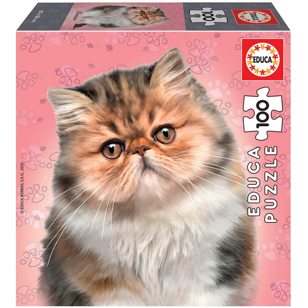 Puzzle 100 persian 18804 educa