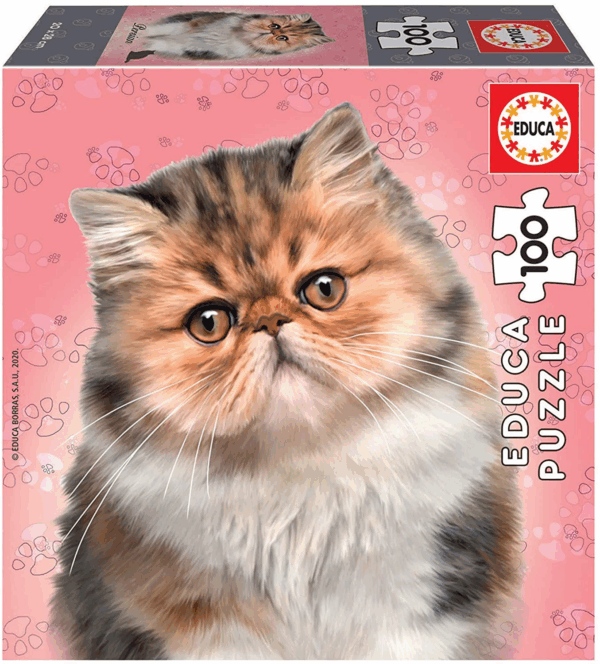Puzzle 100 persian 18804 educa