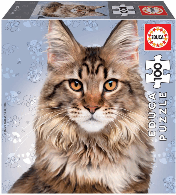 Puzzle 100 maine coon 18805 educa