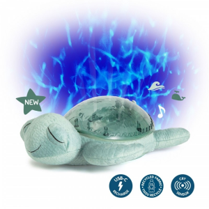 Tortuga Tranquila Verde Cloud B